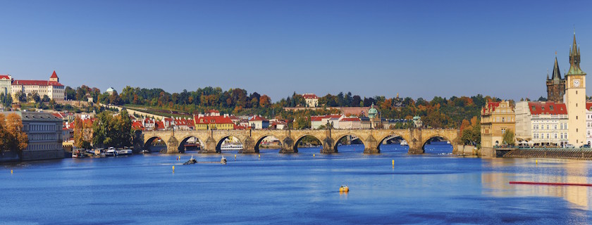 CHADD on the Global Stage